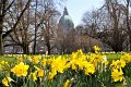 Fruehling2012   032